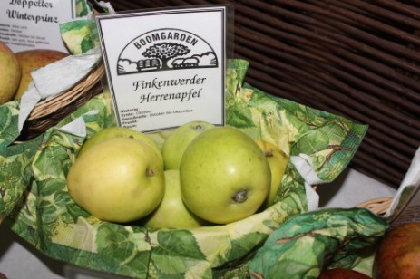 Finkenwerder Herrenapfel