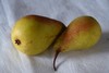 Lange Winterbirne (seltene Lokalsorte)