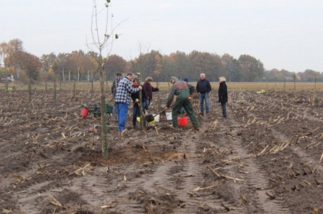 Die Verwandelung eines Maisackers in eine Streuobstwiese