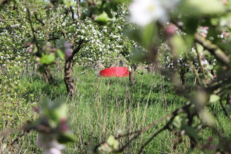 Das rote Sofa