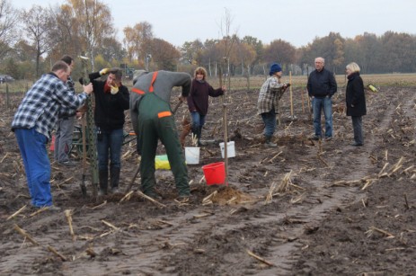 Die Verwandelung eines Maisackers in eine Streuobstwiese